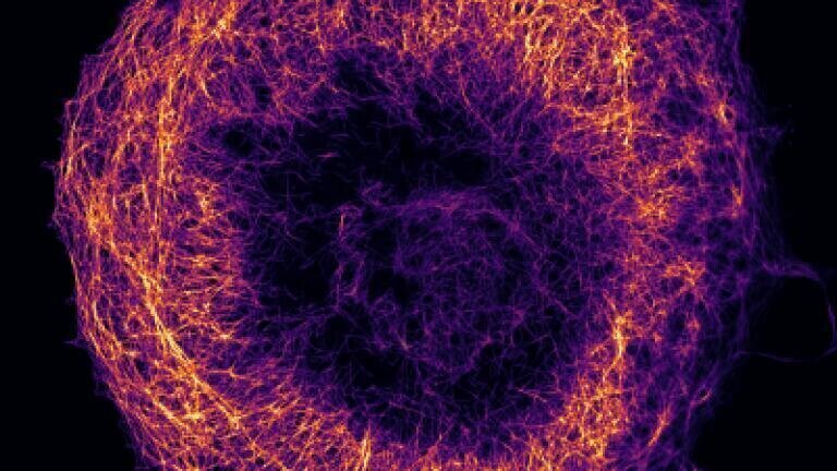 Confocal Microscopy: Getting the Most from Working Systems